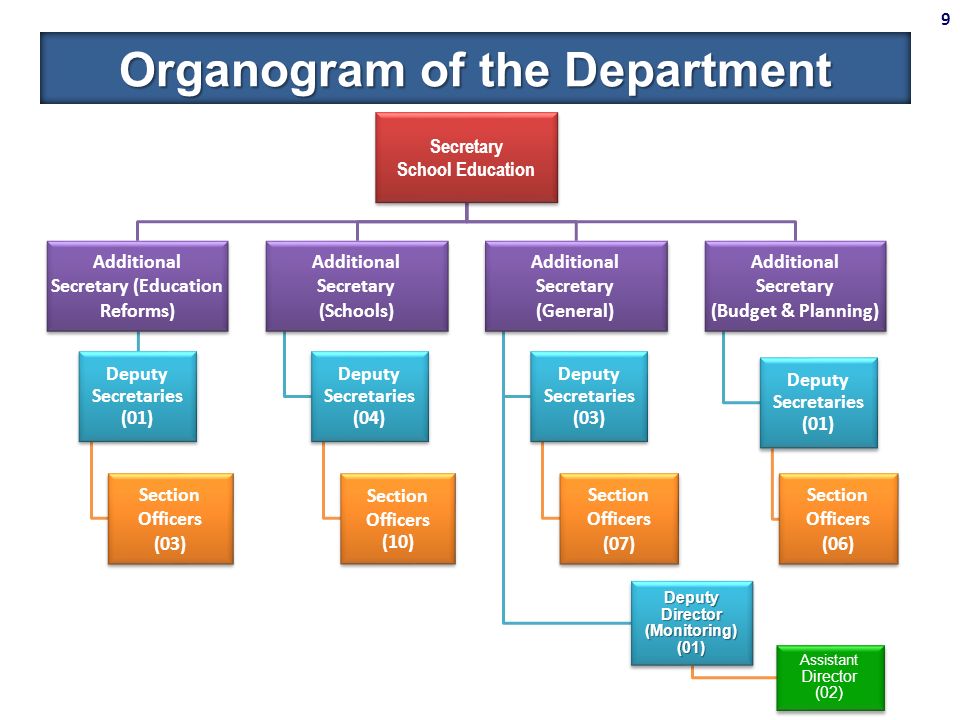 What Is the Typical Organizational Structure of a School?